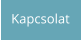 Kapcsolat